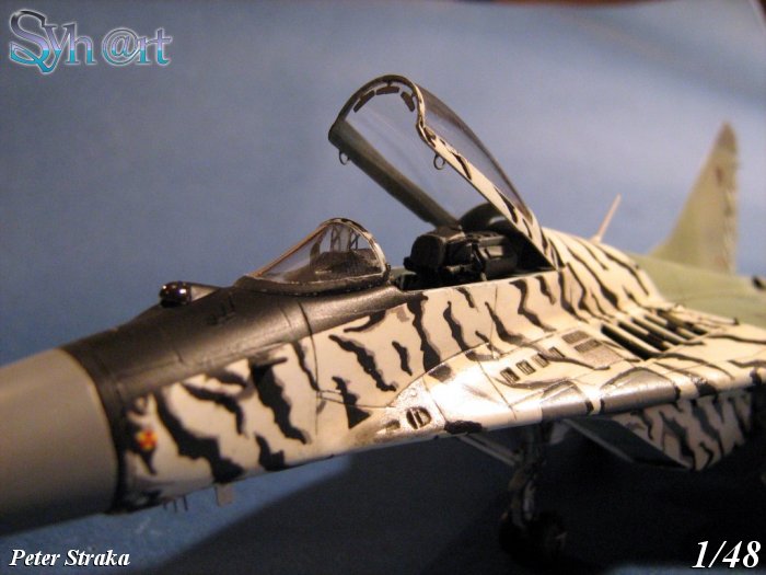 photo04